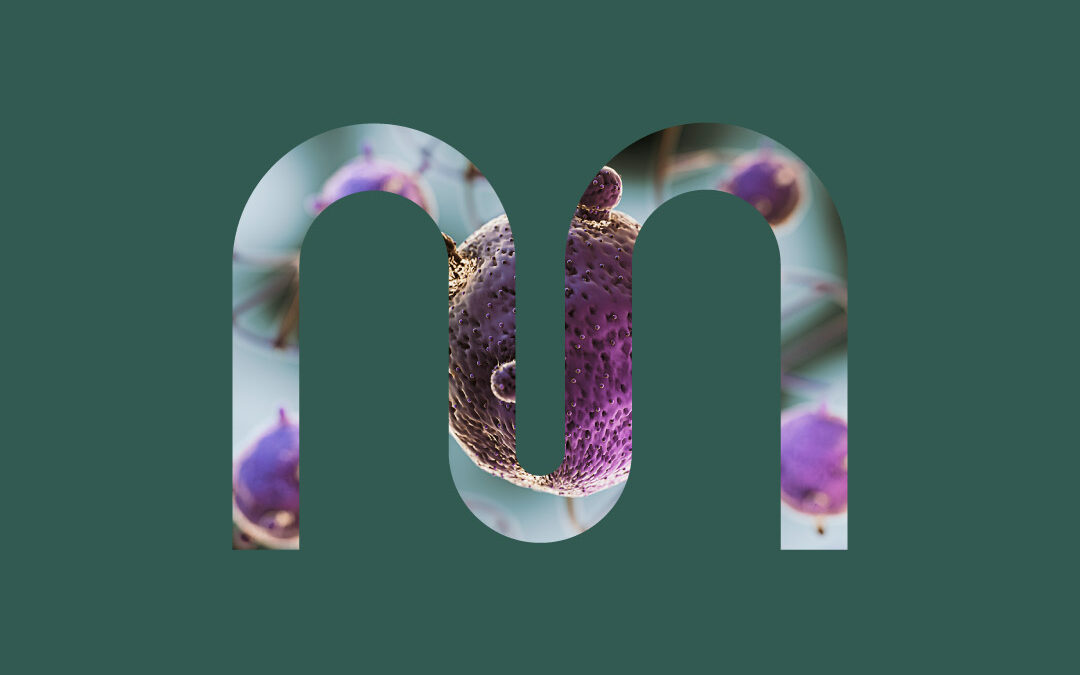 Branding para Abamia