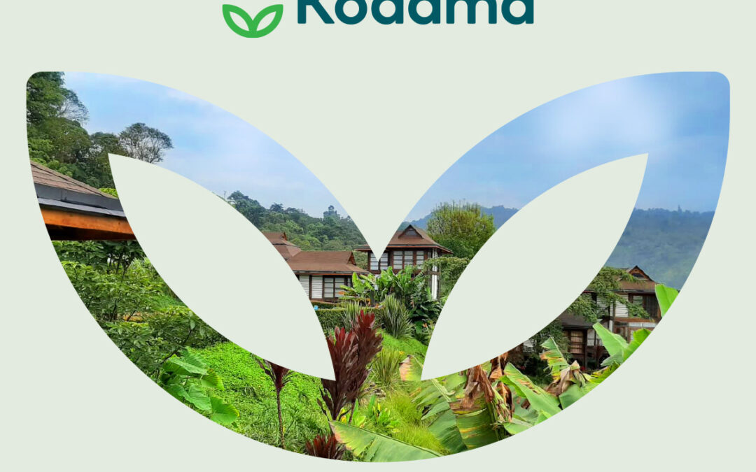 Kodama